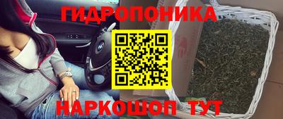 винт Заволжье