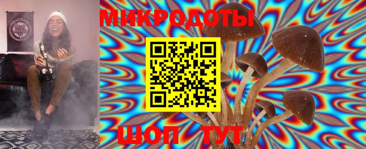 Галлюциногенные грибы мицелий  Псилоцибиновые грибы мухоморы  дарнет шоп  Вход с VPN  Балашов 